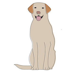 Labrador